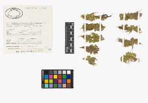 SW_BNB_s3040-03816_IMG-0000000001