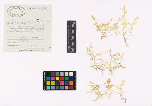 SW_BNB_s3040-03828_IMG-0000000001