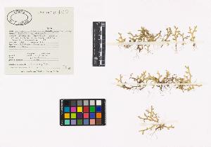 SW_BNB_s3040-03829_IMG-0000000001