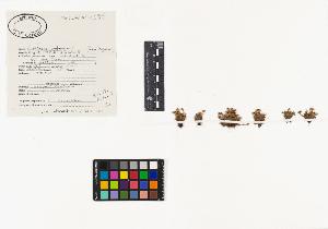 SW_BNB_s3040-03864_IMG-0000000001