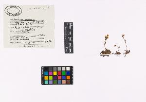 SW_BNB_s3040-03865_IMG-0000000001