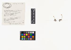 SW_BNB_s3040-03870_IMG-0000000001