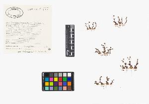 SW_BNB_s3040-03890_IMG-0000000001