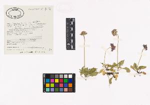 SW_BNB_s3040-03901_IMG-0000000001