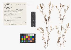 SW_BNB_s3040-03909_IMG-0000000001