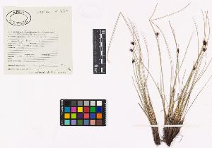 SW_BNB_s3040-03914_IMG-0000000001