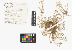 SW_BNB_s3040-03922_IMG-0000000001