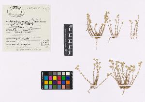 SW_BNB_s3040-03924_IMG-0000000001