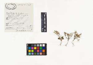 SW_BNB_s3040-03953_IMG-0000000001