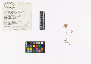 SW_BNB_s3040-03954_IMG-0000000001