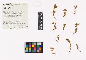 SW_BNB_s3040-03957_IMG-0000000001