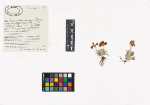 SW_BNB_s3040-03965_IMG-0000000001