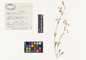 SW_BNB_s3040-03971_IMG-0000000001