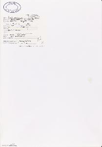 SW_BNB_s3040-04005_IMG-0000000001
