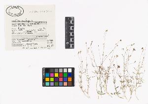 SW_BNB_s3040-04043_IMG-0000000001