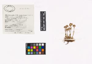 SW_BNB_s3040-04047_IMG-0000000001