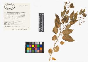 SW_BNB_s3040-04078_IMG-0000000001