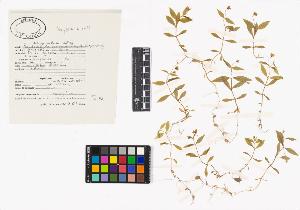 SW_BNB_s3040-04167_IMG-0000000001