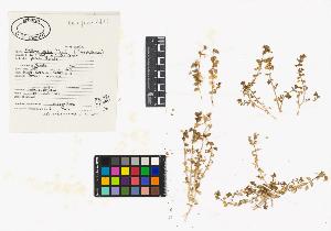 SW_BNB_s3040-04181_IMG-0000000001