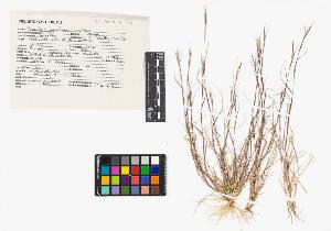 SW_BNB_s3040-04218_IMG-0000000001