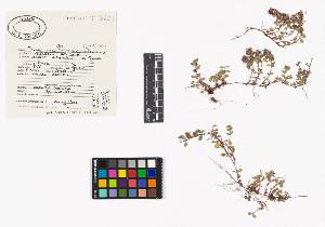 SW_BNB_s3040-04223_IMG-0000000001