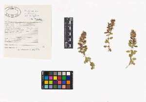 SW_BNB_s3040-04240_IMG-0000000001