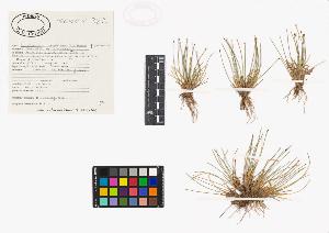 SW_BNB_s3040-04329_IMG-0000000001