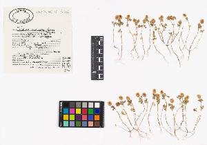 SW_BNB_s3040-04351_IMG-0000000001
