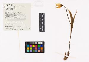 SW_BNB_s3040-04414_IMG-0000000001