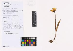SW_BNB_s3040-04415_IMG-0000000001