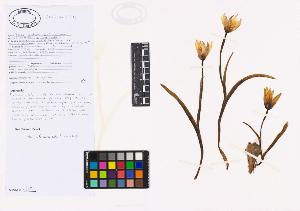 SW_BNB_s3040-04416_IMG-0000000001