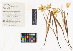 SW_BNB_s3040-04419_IMG-0000000001