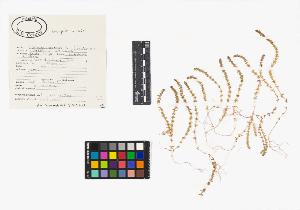 SW_BNB_s3040-04441_IMG-0000000001