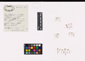SW_BNB_s3040-04483_IMG-0000000001