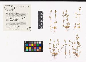 SW_BNB_s3040-04488_IMG-0000000001