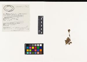 SW_BNB_s3040-04495_IMG-0000000001