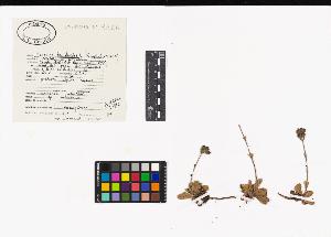 SW_BNB_s3040-04496_IMG-0000000001