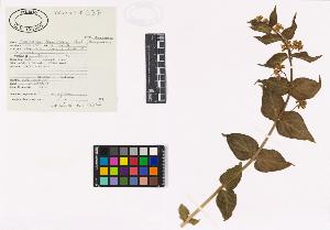 SW_BNB_s3040-04561_IMG-0000000001