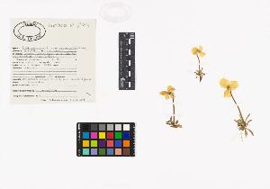 SW_BNB_s3040-04571_IMG-0000000001