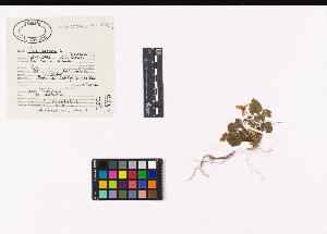 SW_BNB_s3040-04593_IMG-0000000001