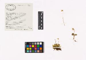 SW_BNB_s3040-04596_IMG-0000000001