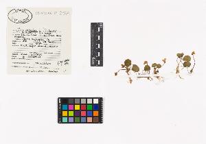 SW_BNB_s3040-04597_IMG-0000000001