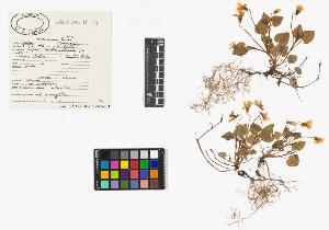 SW_BNB_s3040-04603_IMG-0000000001