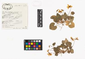 SW_BNB_s3040-04614_IMG-0000000001