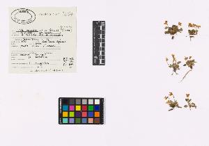 SW_BNB_s3040-04620_IMG-0000000001