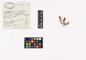 SW_BNB_s3040-04648_IMG-0000000001