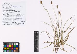 SW_BNB_s3040-04678_IMG-0000000001