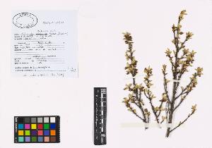SW_BNB_s3040-04684_IMG-0000000001