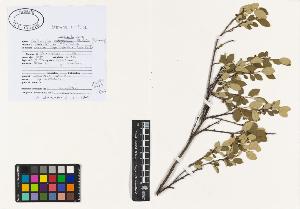 SW_BNB_s3040-04685_IMG-0000000001