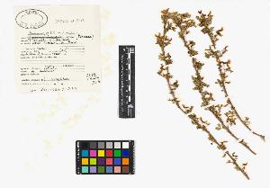 SW_BNB_s3040-04701_IMG-0000000001